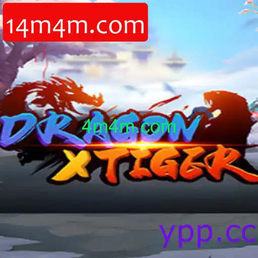 DragonXTiger